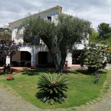 Villa Livia Villammare Exteriör bild