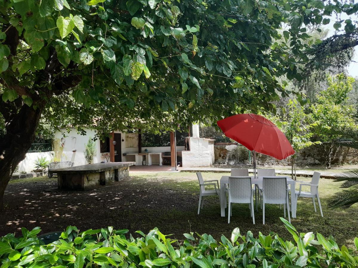 Villa Livia Villammare Exteriör bild